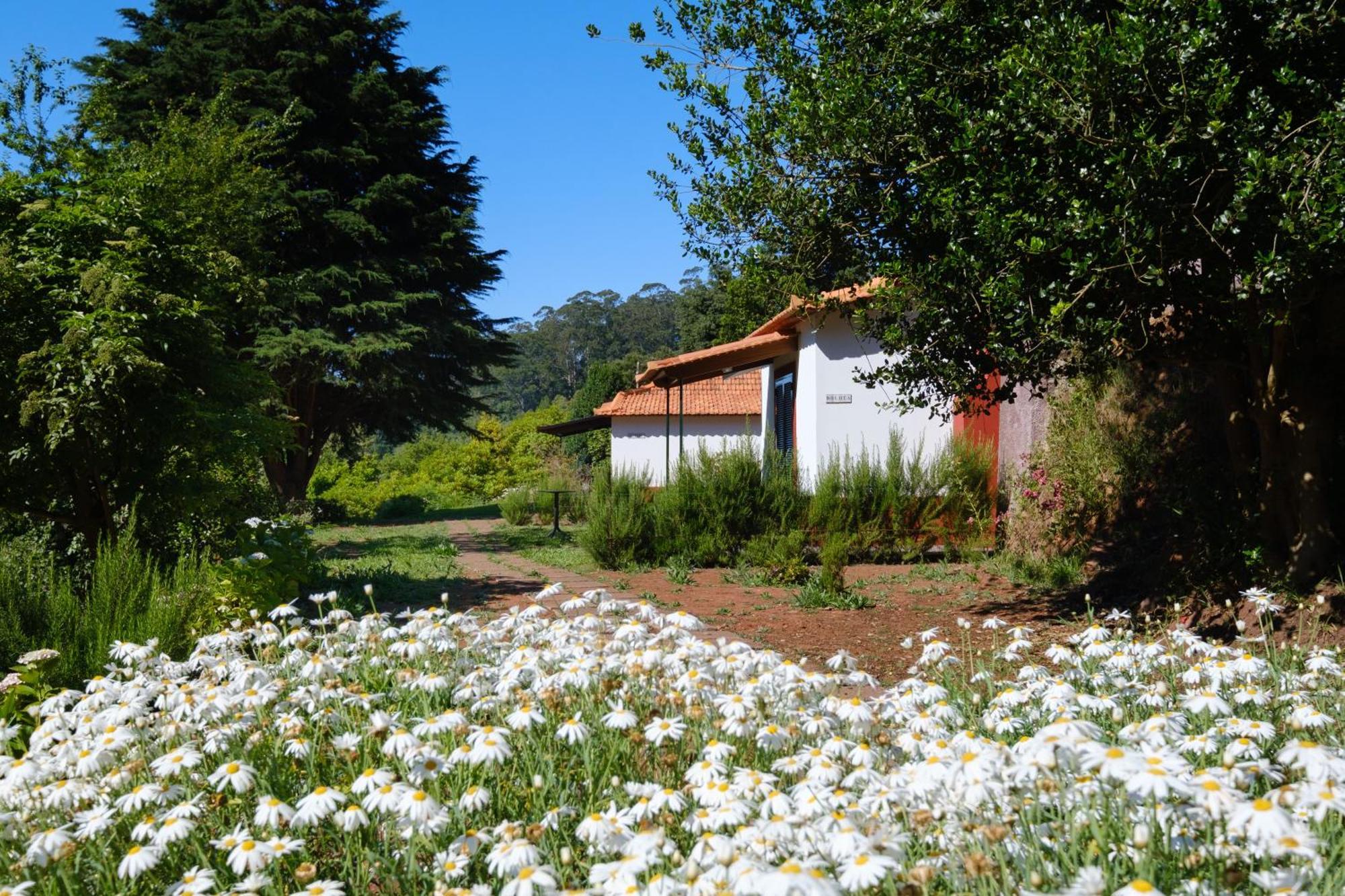 Valle Paraizo Camacha  Exterior foto